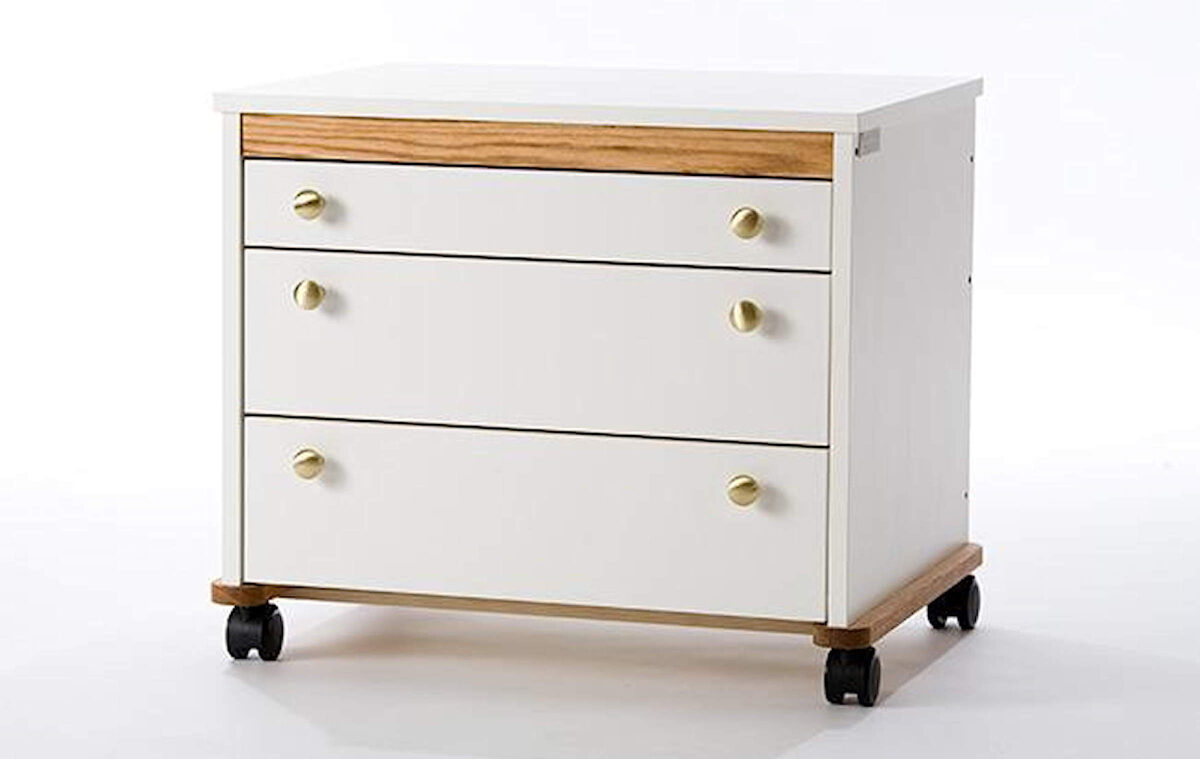 Longarm Storage Cabinet